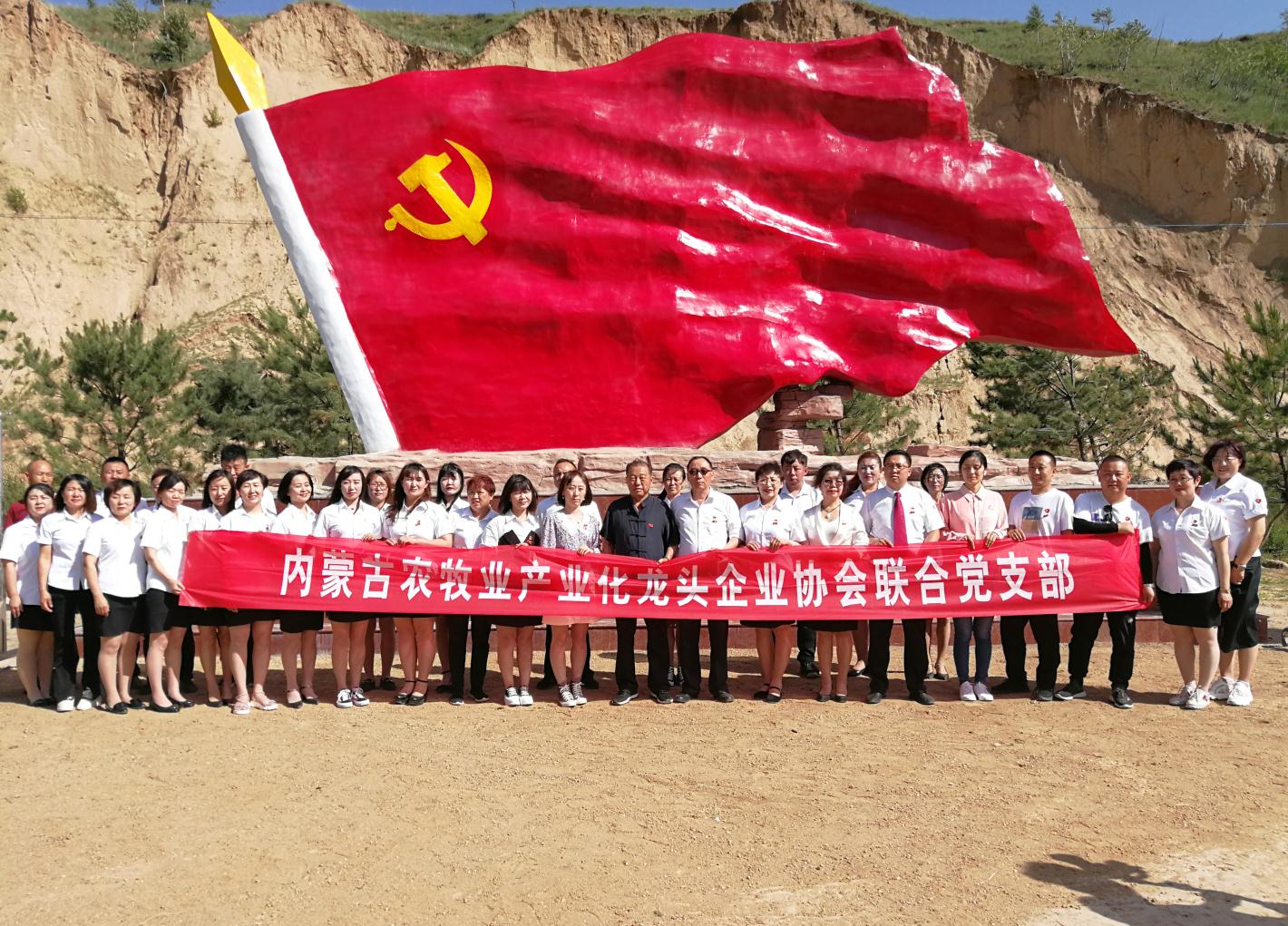 內(nèi)蒙古農(nóng)牧業(yè)產(chǎn)業(yè)化龍頭企業(yè)協(xié)會走進石人灣村開展“辦實事、解難題，送溫暖，傳黨恩”公益活動